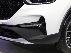 20202.0T Ԅ(dng)r(sh)(lin) 7 (x)(ji)^