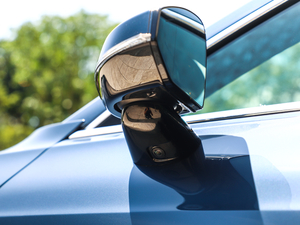 2020(bio)(zhn) (x)(ji)^