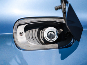 2020(bio)(zhn) (x)(ji)^