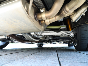 2020(bio)(zhn) (x)(ji)^