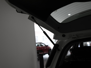 2019���S���� ���g����