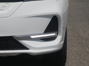 2019�������� �������^