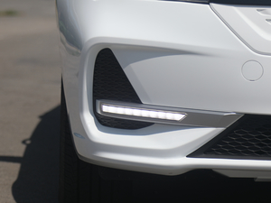 2019�������� �������^