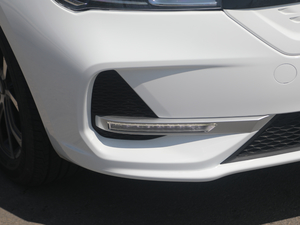 2019�������� �������^