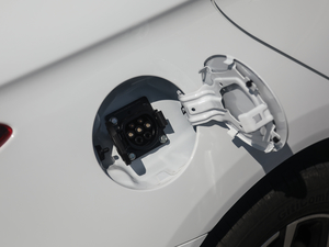 2019�������� �����w