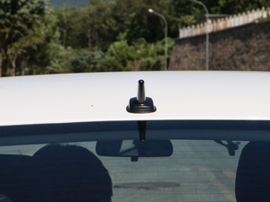 2019�������� �������^