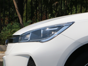 2019�������� �������^