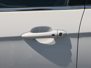 2019�������� ���{�T����