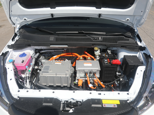 2019�������� ����