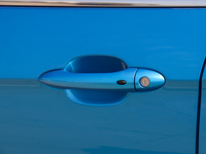 2019�������� ���{�T����