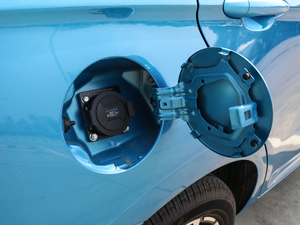 2019�������� �����w