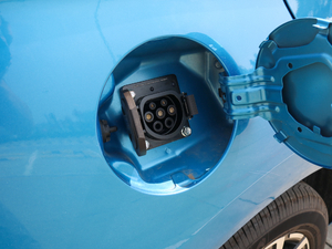 2019�������� �������^