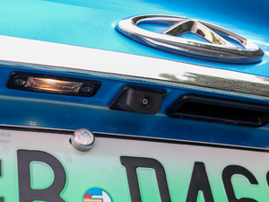 2019�������� �������^