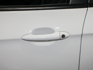 2020�ֵ�� ���{�T����