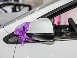 2020�ֵ�� �������^