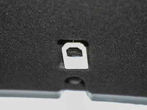 2020�ֵ�� ���g����