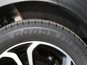 202120fρۿ Ś F 301km  ݆̥Ʒ