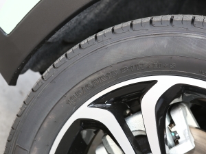 202120fρۿ Ś F 301km  ݆̥ߴ