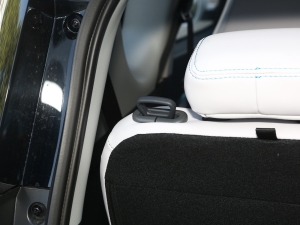 202120fρۿ Ś F 301km  g