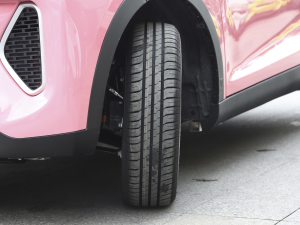 202120fρۿ Ś Ԫ 301km  ^