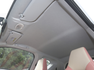 202120fρۿ Ś Ԫ 301km  п؅^(q)