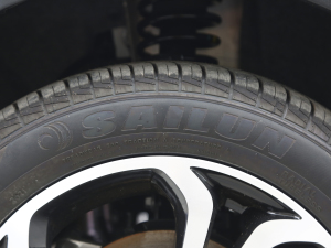 202120fρۿ Ś F 301km  ݆̥Ʒ