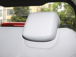 202120fρۿ Ś F 301km  g