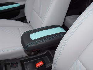 202120fρۿ  F 301km 