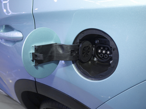 2021��S�� �������^