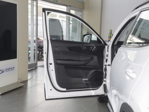 2021款虎啸版 120kW 驾驶位车门