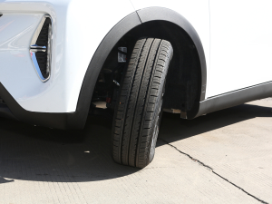 2022ۿ ȫǰ F 30kW 301km ^