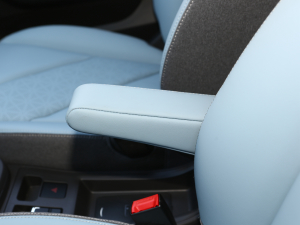 2022ۿ ȫǰ F 30kW 301km g