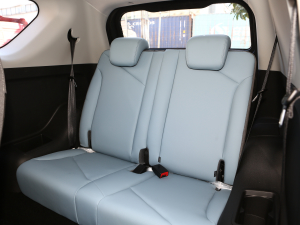 2022ۿ ȫǰ F 30kW 301km g