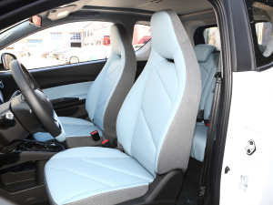 2022ۿ ȫǰ F 30kW 301km g