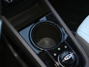 2022ۿ ȫǰ F 30kW 301km g