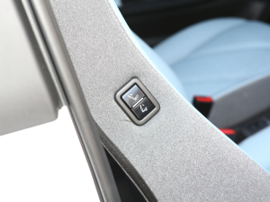 2022ۿ ȫǰ F 30kW 301km g