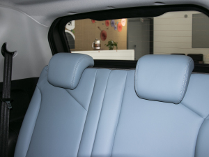 2022ۿ ȫǰ Ԫ 55kW 408km g