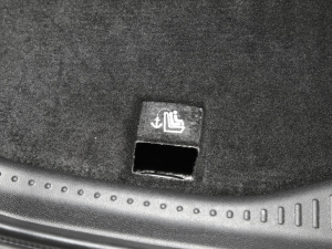 2022ۿ ΢ǰ Ԫ 30kW 301km g