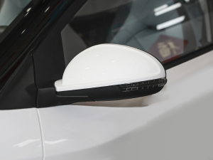 2022ۿ ǰ Ԫ 30kW 301km ҕR