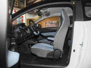 2022ۿ ǰ Ԫ 30kW 301km ǰſg