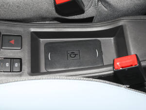 2022ۿ ǰ Ԫ 30kW 301km g