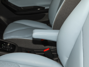 2022ۿ ǰ Ԫ 30kW 301km g