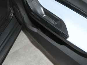 2022ۿ ǰ Ԫ 30kW 301km g