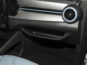 2022ۿ ǰ Ԫ 30kW 301km g