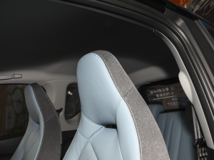 2022ۿ ǰ Ԫ 30kW 301km g