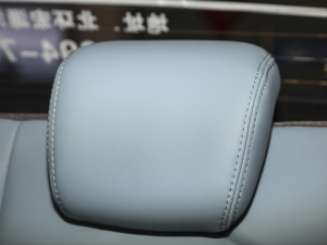 2022ۿ ǰ Ԫ 30kW 301km g