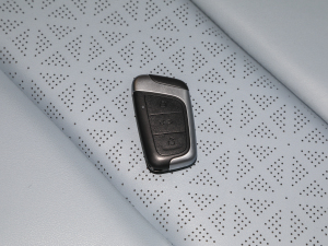 2022ۿ ǰ Ԫ 30kW 301km ܇耳