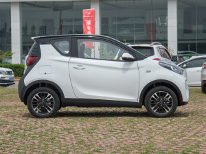 2022ۿ ǰ F 30kW 301km (c)ң