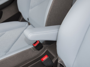 2022ۿ ǰ F 30kW 301km g