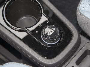 2022ۿ ǰ F 30kW 301km QU